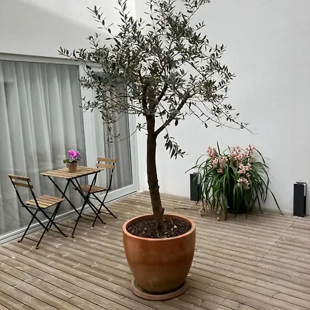 Ribeira Flores 59 Downtown Appartamento *