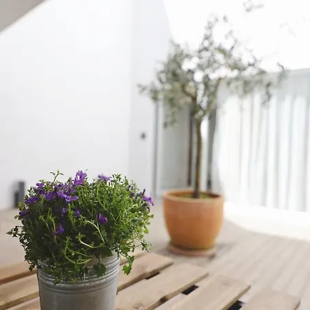 Ribeira Flores 59 Downtown * 포르투