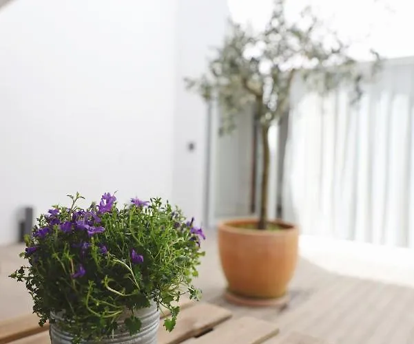 Ribeira Flores 59 Downtown * Πόρτο